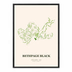 Bethpage Black course map showing the muscular Long Island public layout