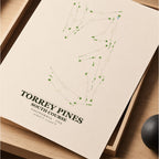 Torrey Pines Golf Course Map Print Poster | California USA Golf Wall Art